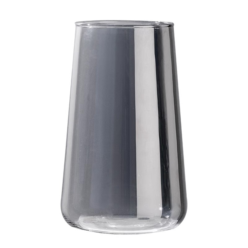 Vase à fleurs en verre hydroponique de style INS